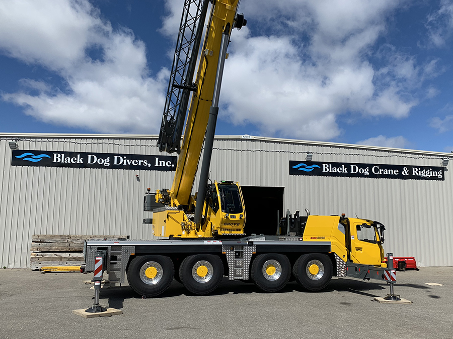 Black Dog Crane - GMK4090